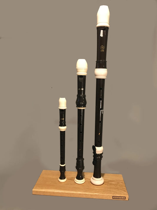M004 - Upright Recorder Rack - (Table Top) Oak
